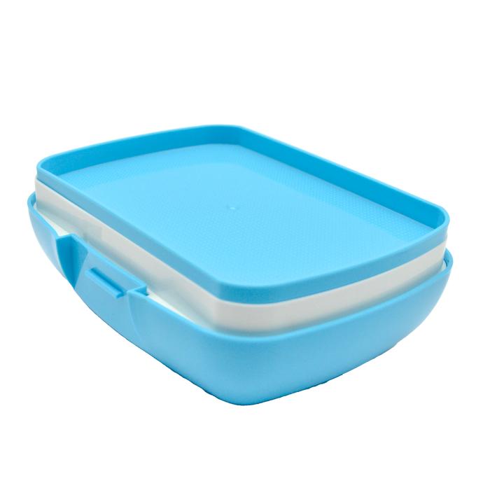 Lunch Box rectangular